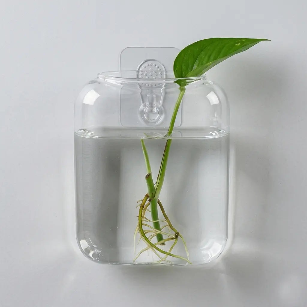 Set of 2 Clear Glass Wall-Mounted Planters for Hydroponic Plant Propagation - Elegant Terrarium Vases for Home, Office, and Garden Decor