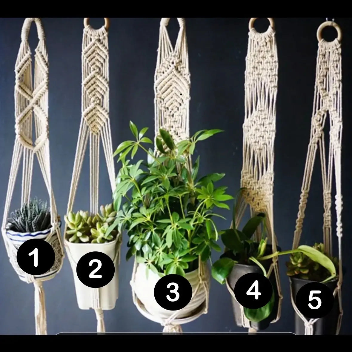 Macrame Plant Hanger Display System