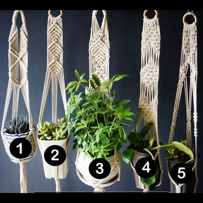 Macrame Plant Hanger Display System