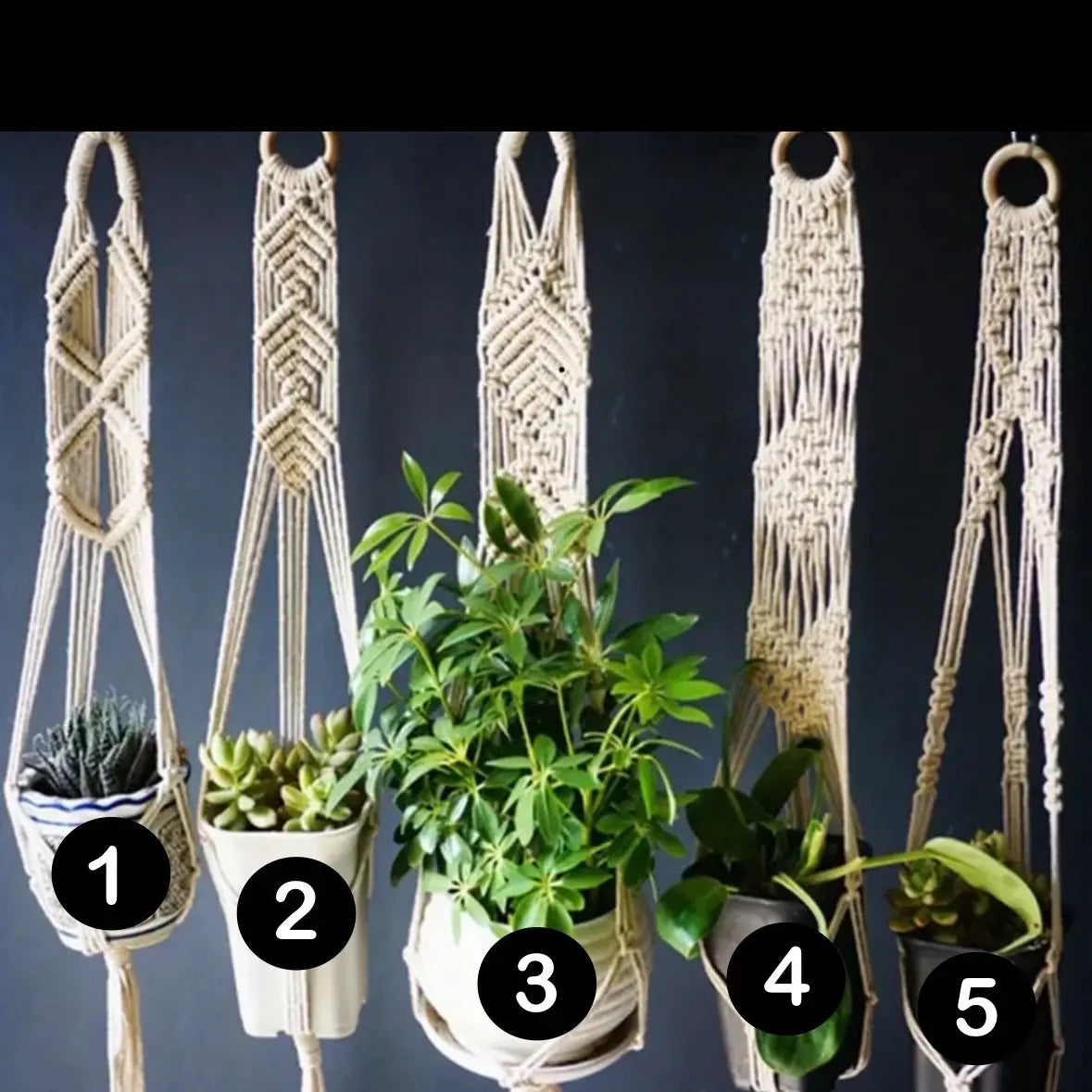 Macrame Plant Hanger Display System