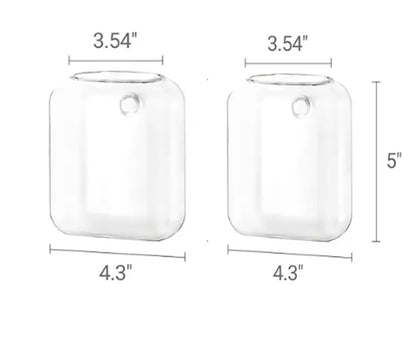 Set of 2 Clear Glass Wall-Mounted Planters for Hydroponic Plant Propagation - Elegant Terrarium Vases for Home, Office, and Garden Decor