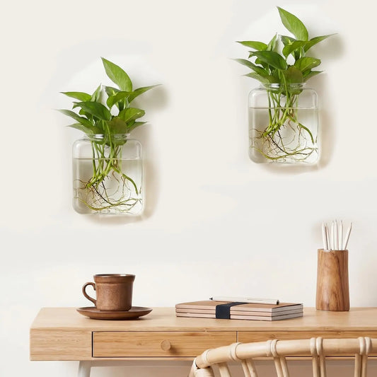 Set of 2 Clear Glass Wall-Mounted Planters for Hydroponic Plant Propagation - Elegant Terrarium Vases for Home, Office, and Garden Decor